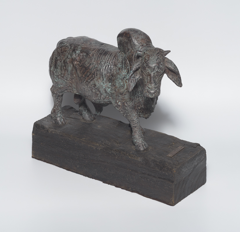 Tiere