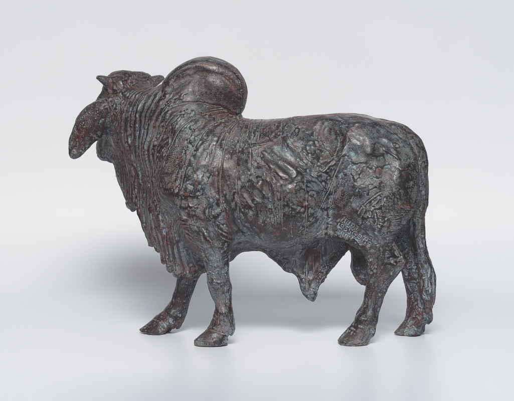 Brahman Bull — Buckliger Bulle als Studie, eine Würdigung der Bauernkraft