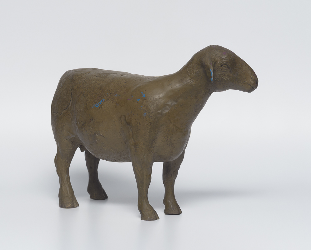 Merino Ewe — Sanfte Mutterschaf, aufmerksame Haltung, weiche Linien