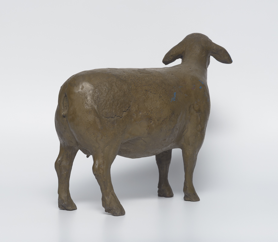 Merino Ewe — Sanfte Mutterschaf, aufmerksame Haltung, weiche Linien