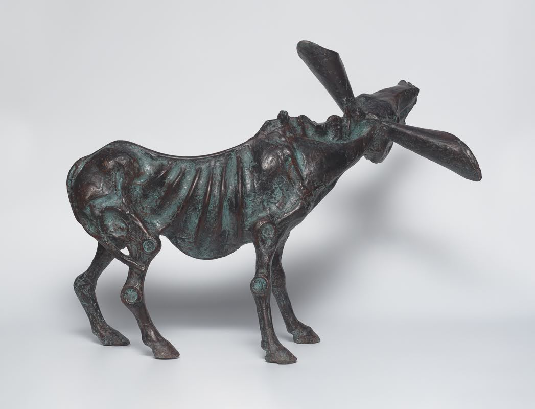 Wandering Donkey — Komischer Esel mit langen Ohren, im Iah